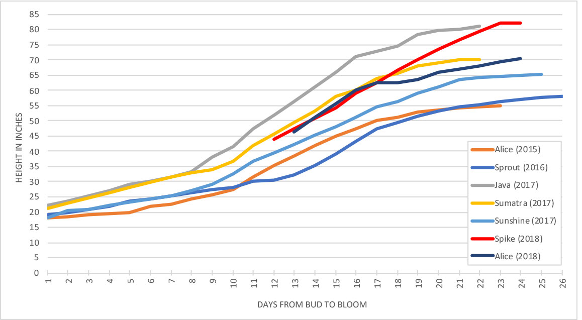 Titan Arum growth progress chart