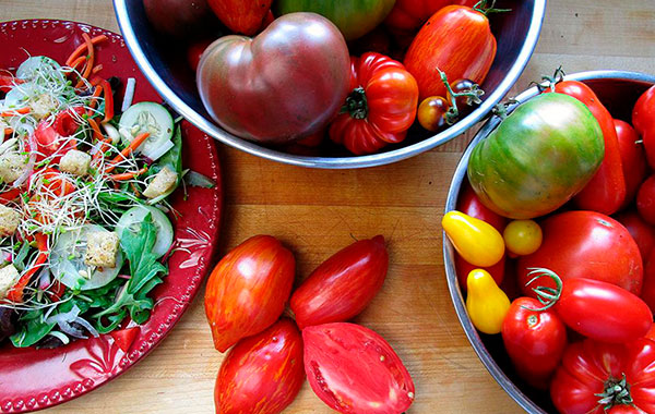 Tomato varieties