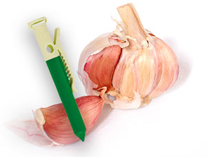 Garlic cloves with deer-repellent garlic clip