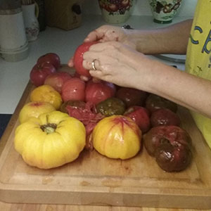 Peeling tomatoes.