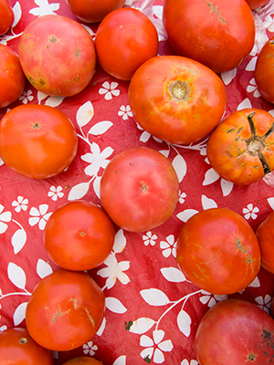 Tomatoes for canning