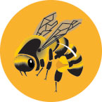 bee icon