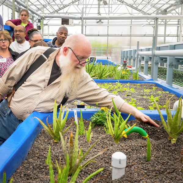 Windy City Harvest Aquaponics Classes