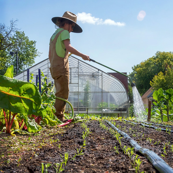 Windy City Harvest Incubator Program