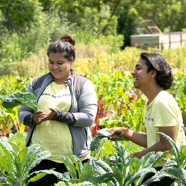 Windy City Harvest Programs