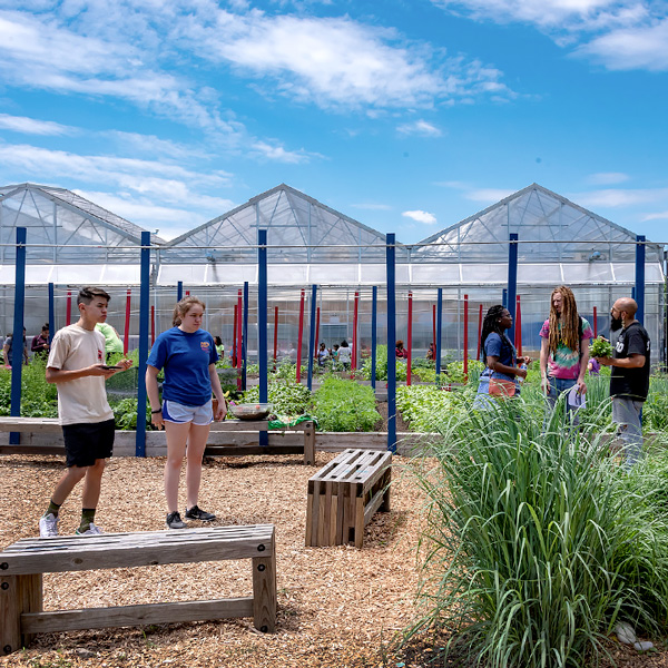 Windy City Harvest Farm Tours