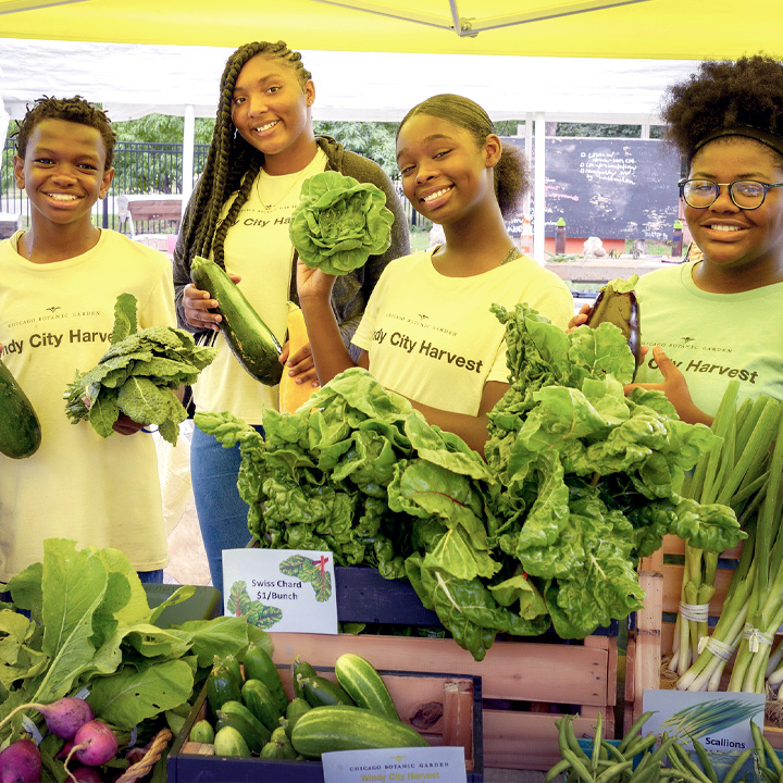 Windy City Harvest Youth Farm