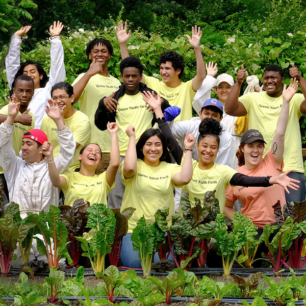 Windy City Harvest Youth Farm