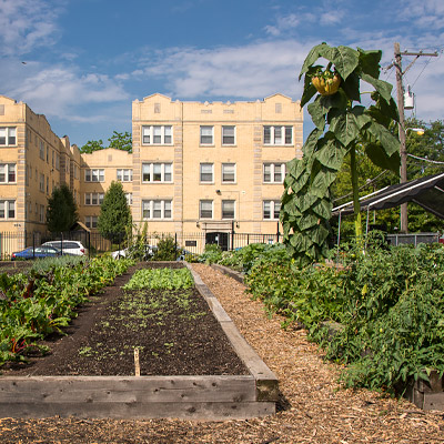 Kenneth Street Farm