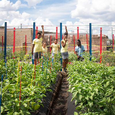 North Lawndale Youth Farm