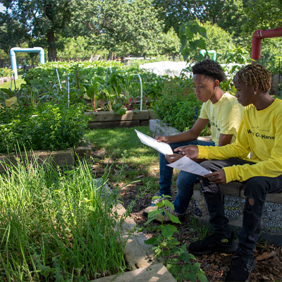 Washington Park Youth Farm