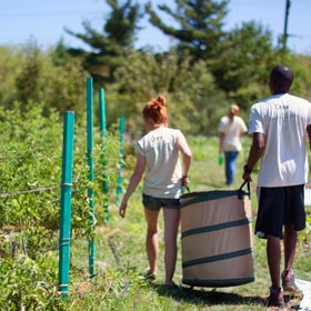 Green Youth Farm Lake County