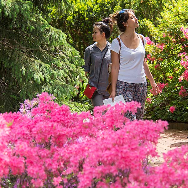 Chicago Botanic Garden Donation Request - Employment Chicago Botanic ...