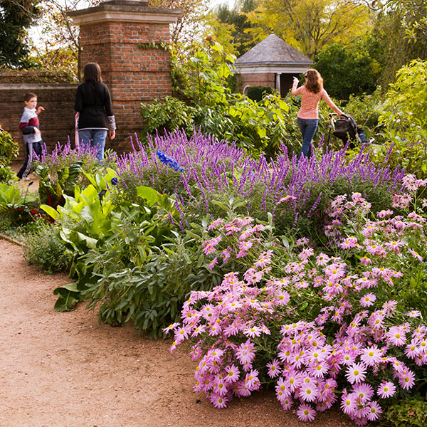 Plan Your Visit Chicago Botanic Garden