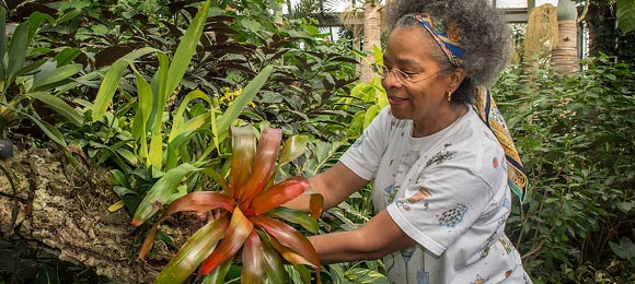 Volunteer in greenhouse