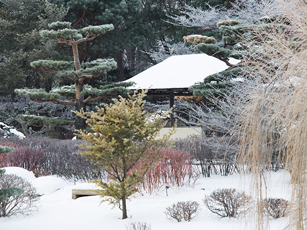 Japanese Garden