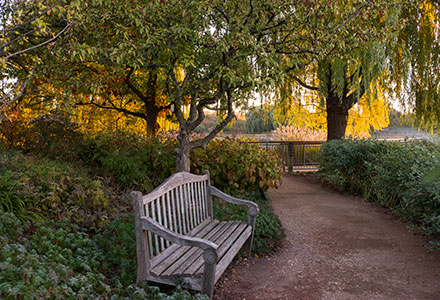 Wallpaper and Backgrounds | Chicago Botanic Garden Wallpaper and Backgrounds | Chicago Botanic Garden