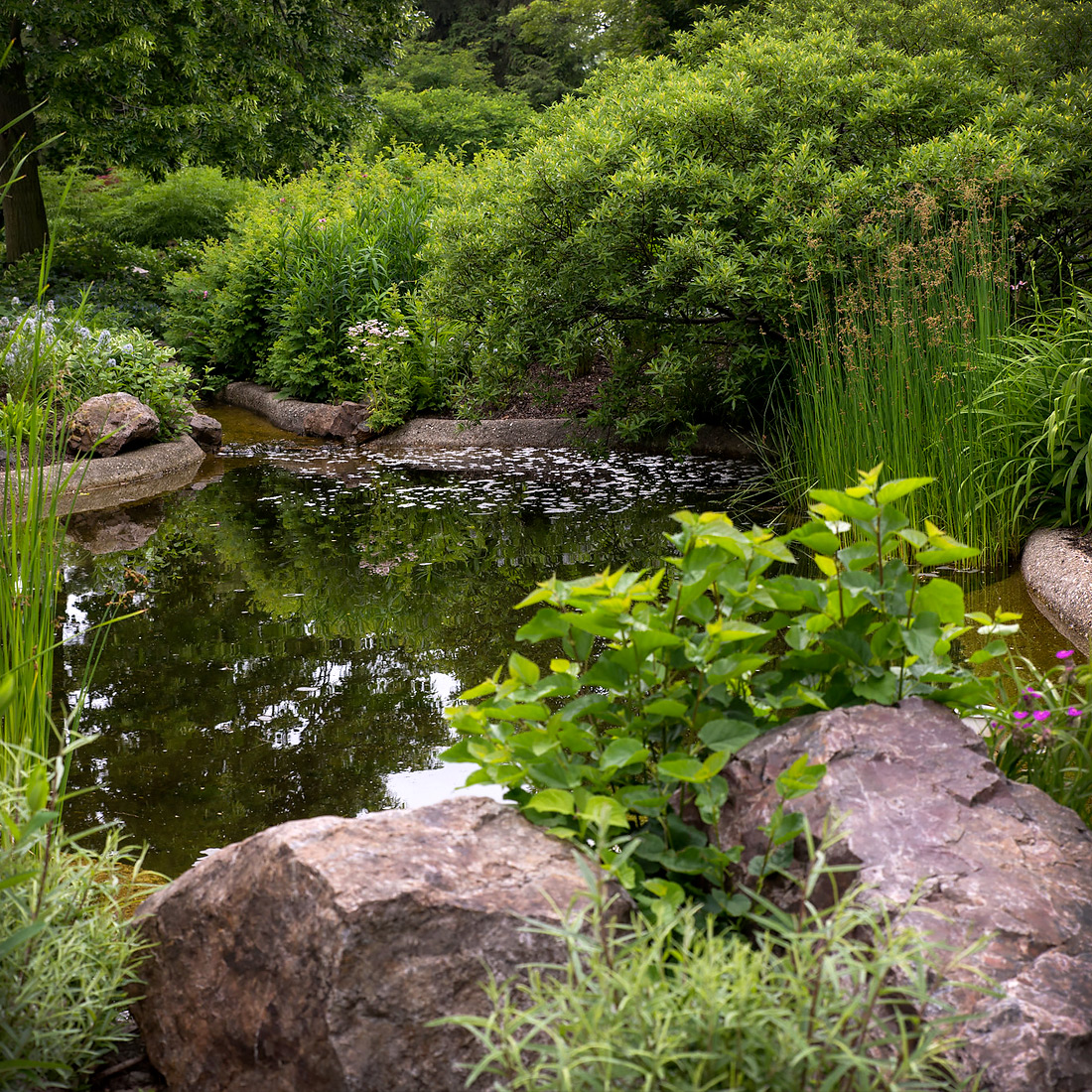 Water at the Garden