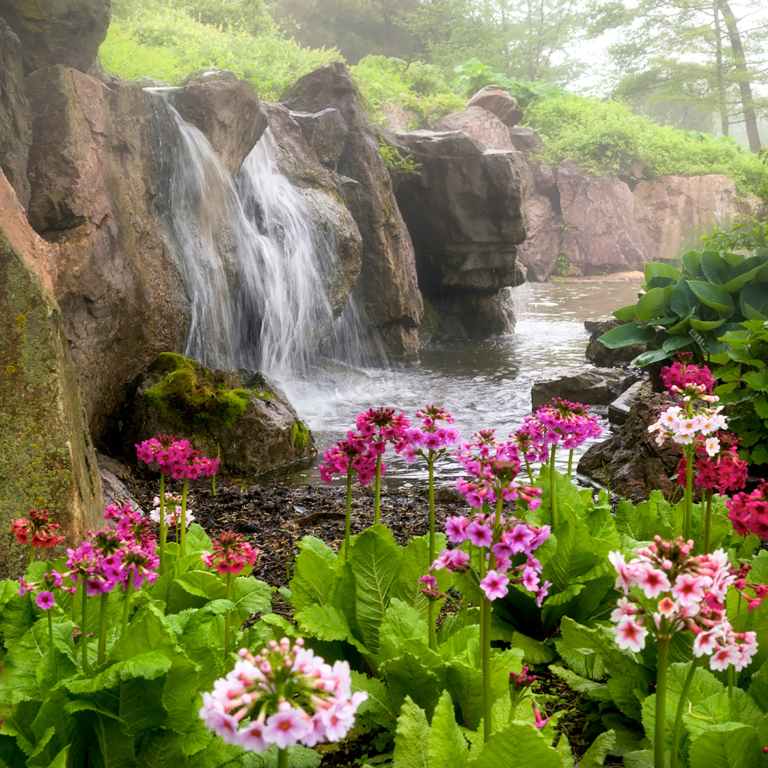 Water at the Garden
