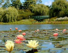 Botanical Gardens,atlanta botanical gardens,brooklyn botanical garden,chicago botanic garden,denver botanic gardens