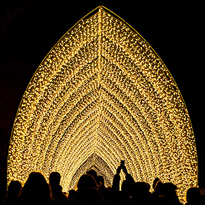 Lightscape