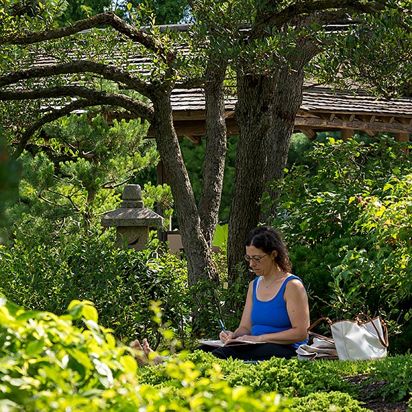 forest bathing sitting invitation