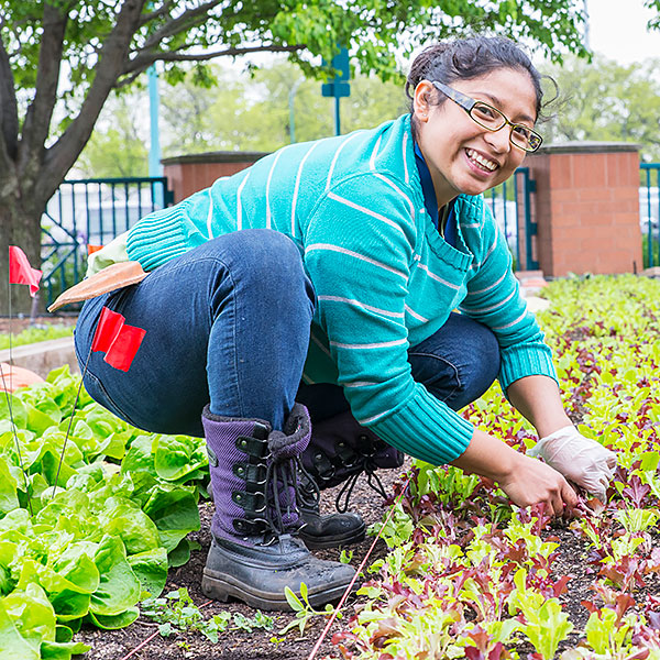 Gardening