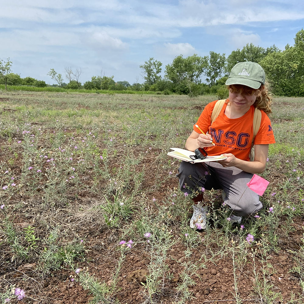 Fieldwork