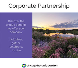 Corporate partnership brochure
