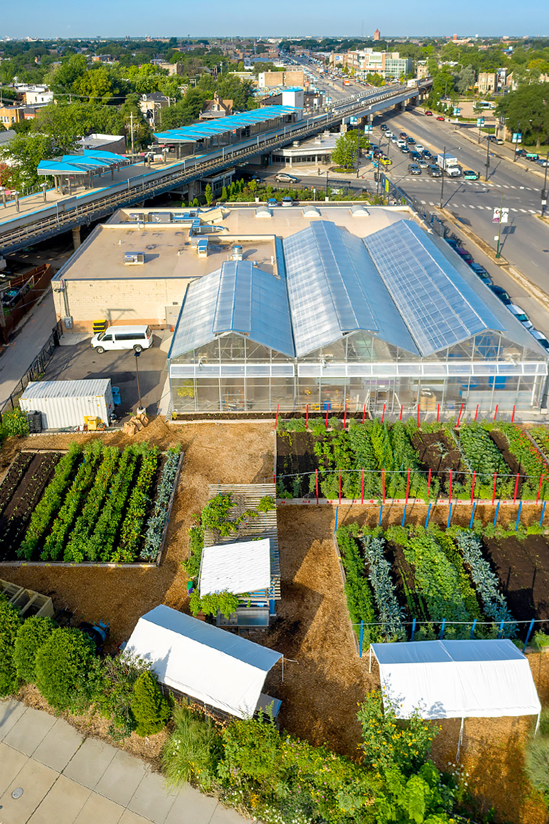 Farm on Ogden