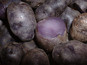purple potatoes