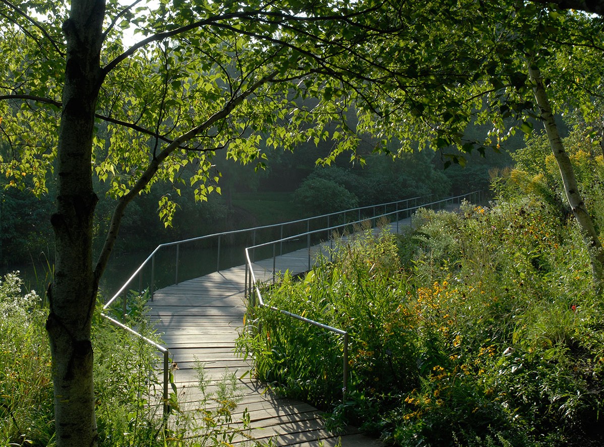 Spider Island Boardwalk