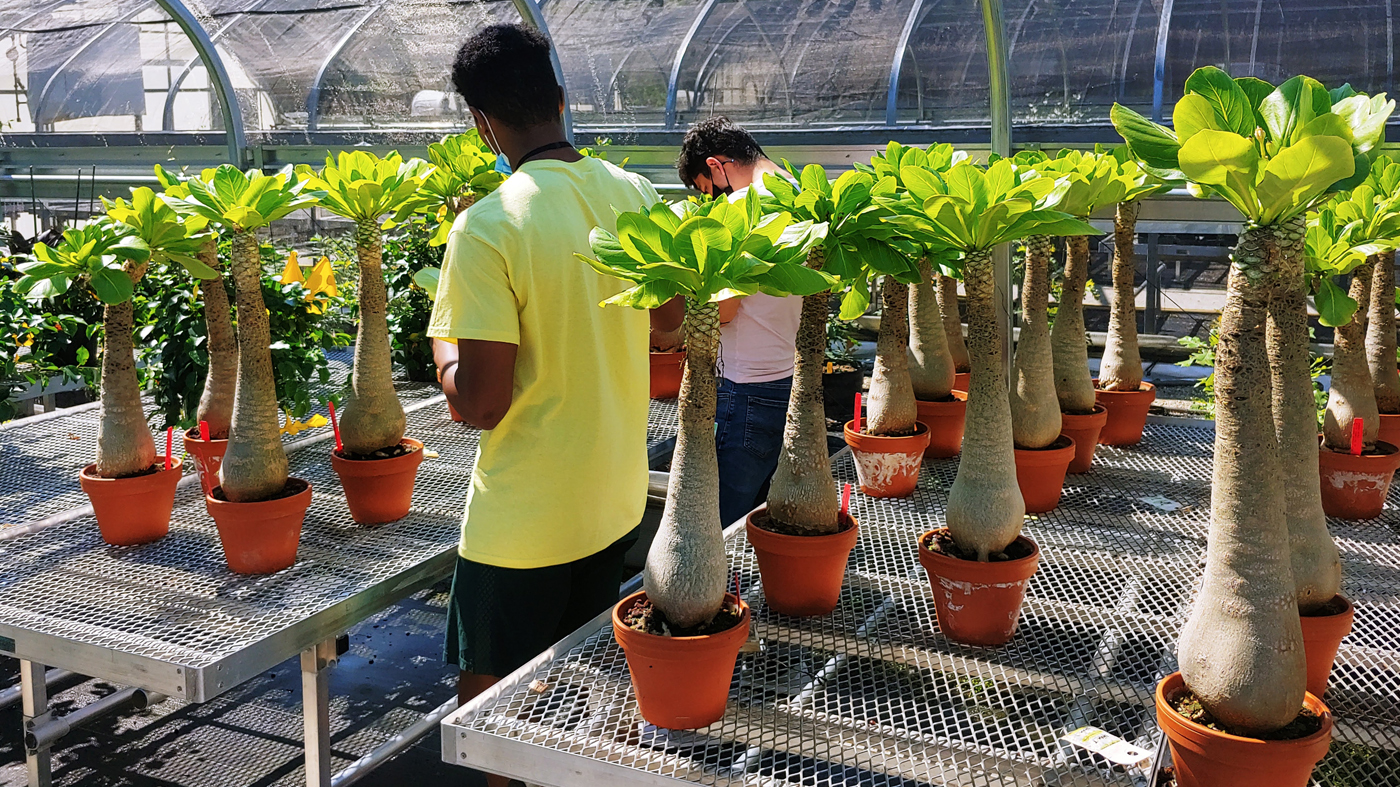 Garden scientists worked with students