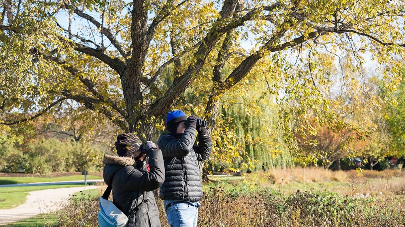 Birding