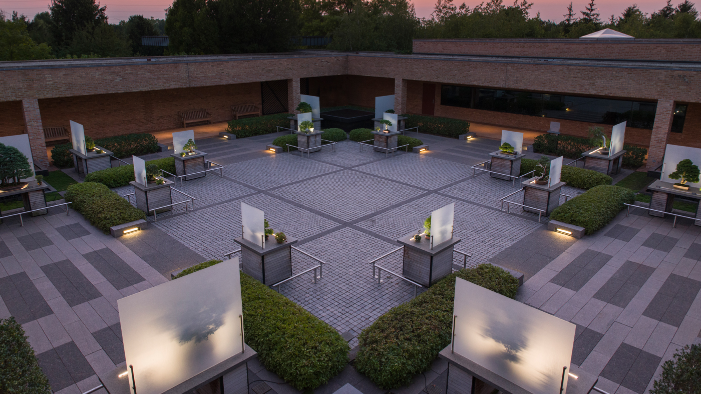 Outdoor bonsai display in the Searle and Runnells Courtyards adjacent to the Regenstein Center