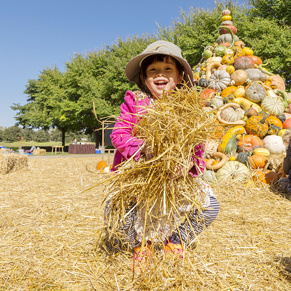 fall Bulb Festival