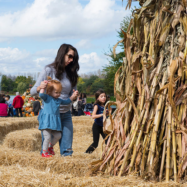 fall Bulb Festival