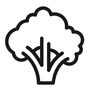 cauliflower