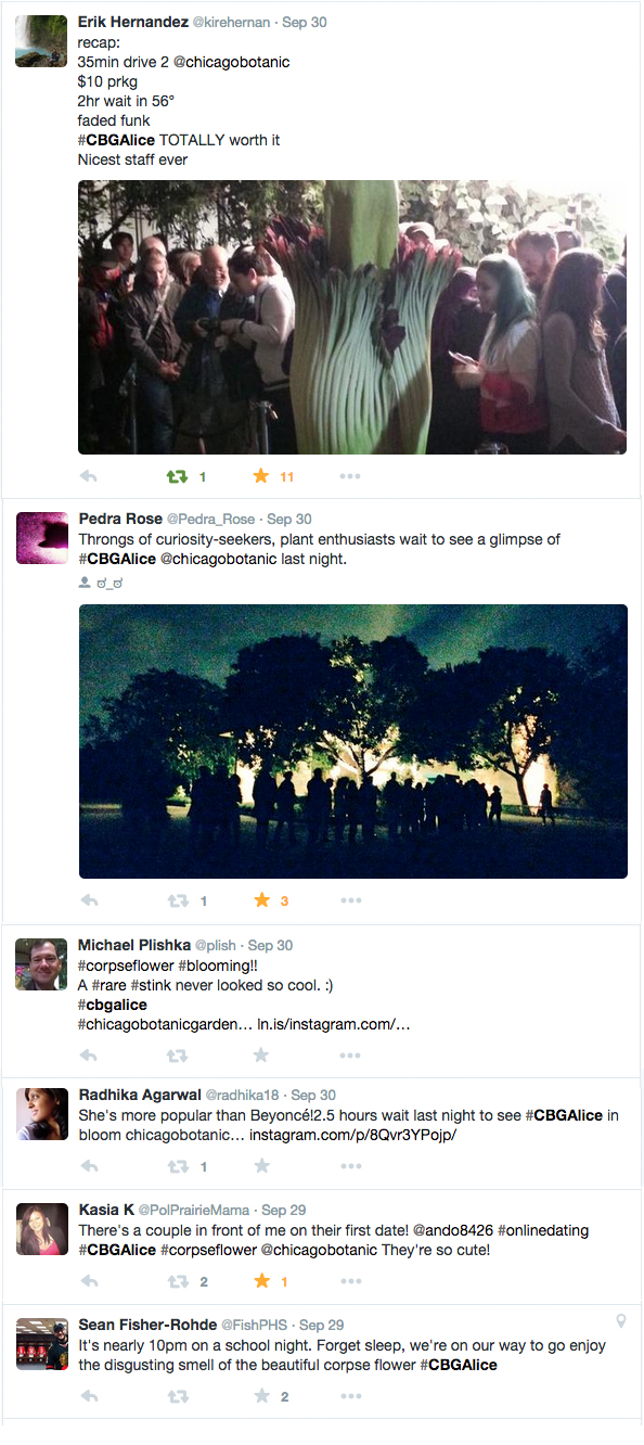 compiled tweets