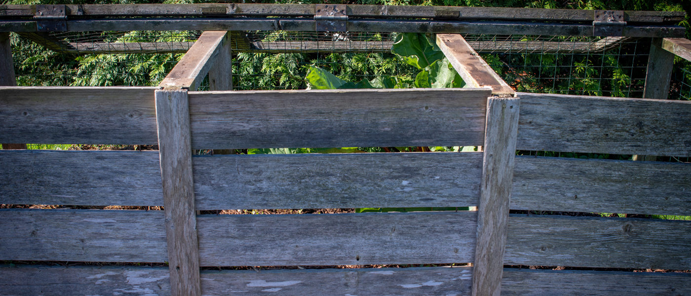 Composting bin