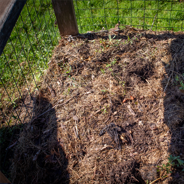 composting bin