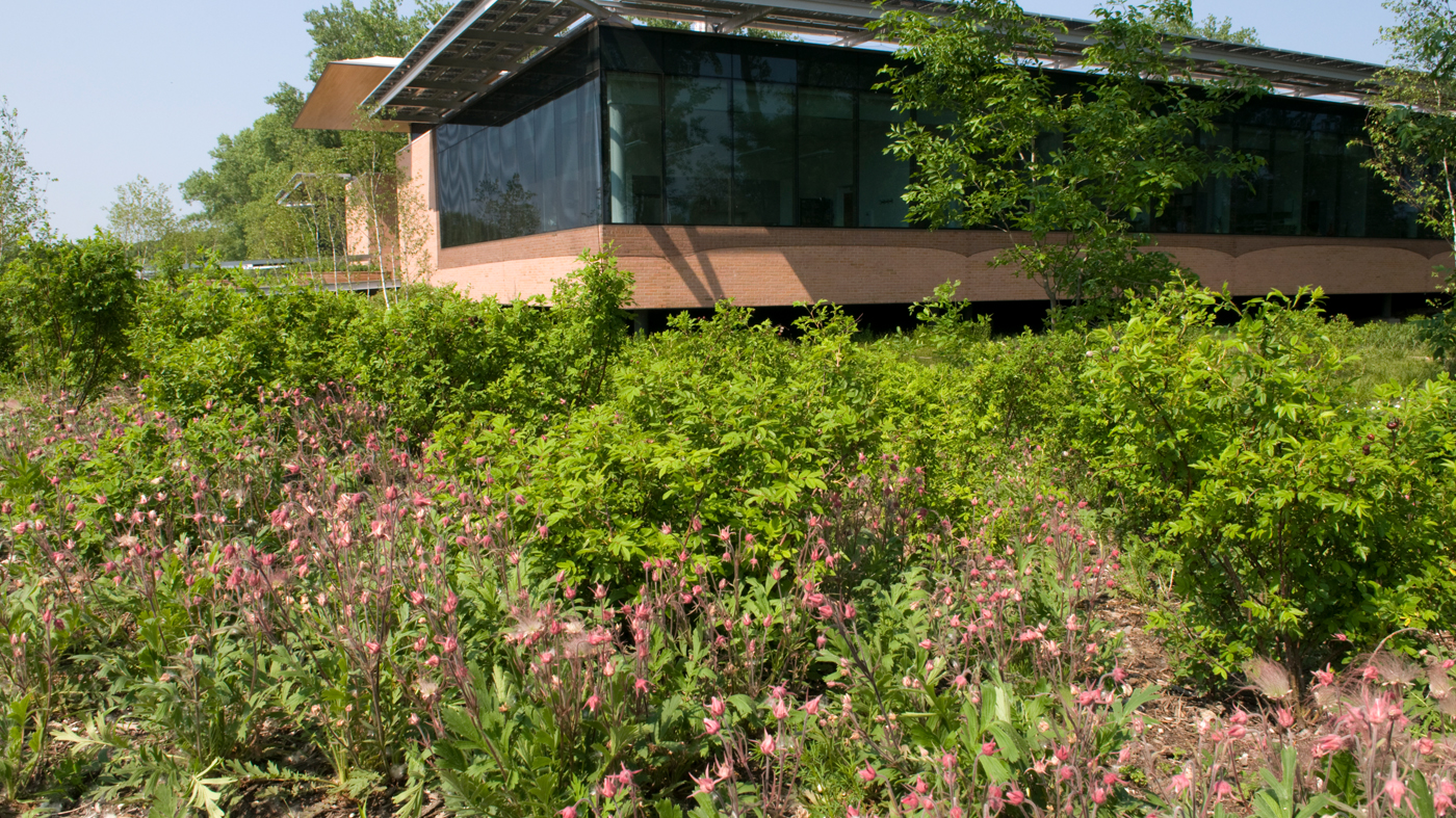 Conservation Walks