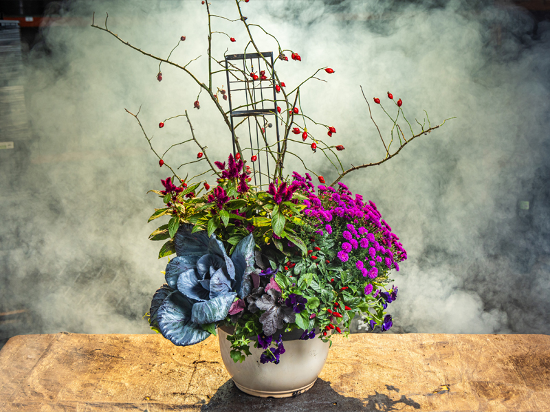 container arrangement