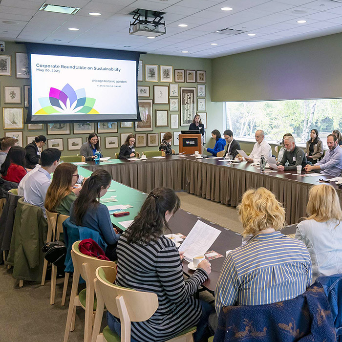 corporate roundtable