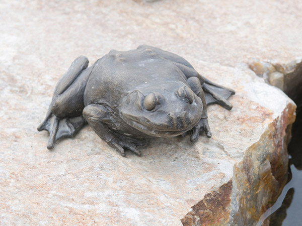 brass frog