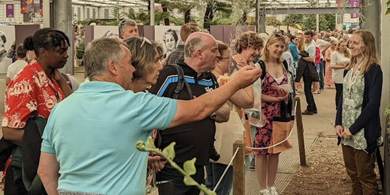 Johanna Hutchins answers questions at the Chelsea Flower Show