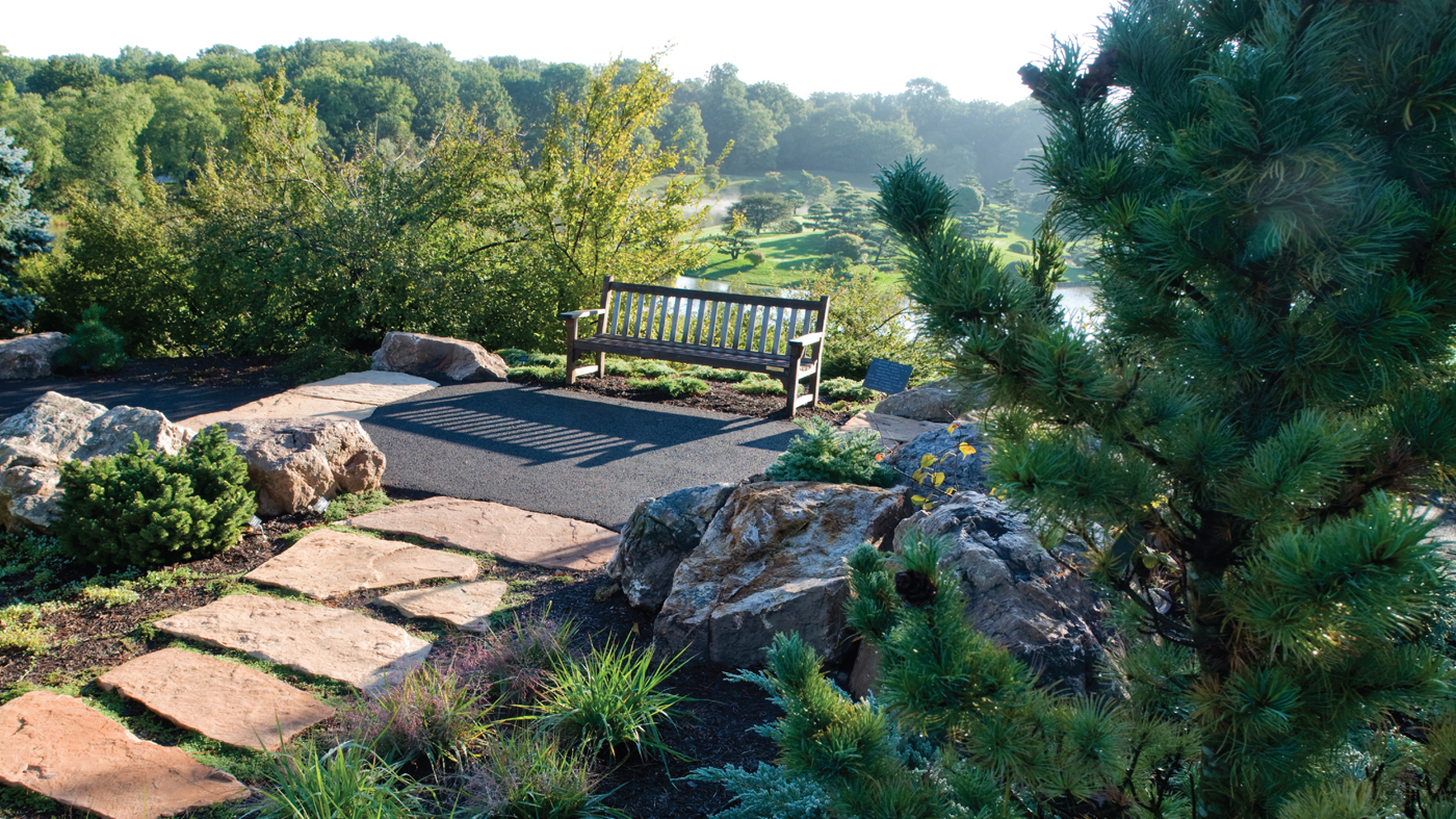 Dwarf conifer garden