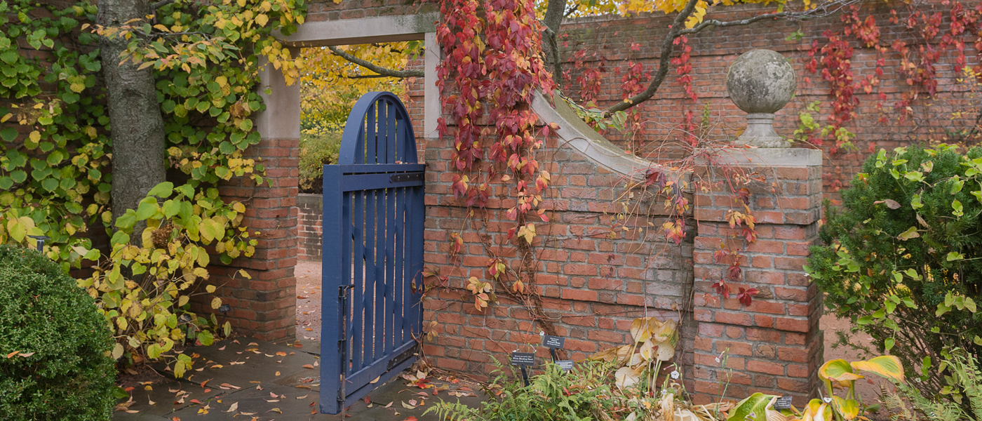 English Wall Garden