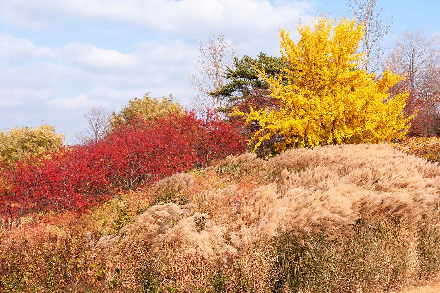 Evening island in fall