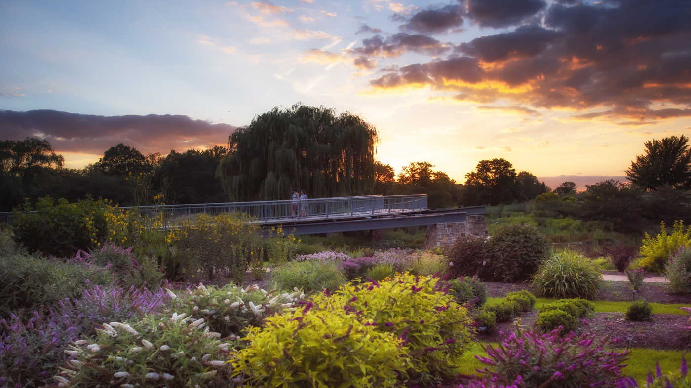 Evening at the Garden